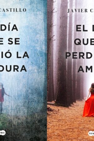 Pack Bilogía El día que se perdió la cordura: El día que se perdió la cordura + El día que se perdió el amor de Javier Castillo